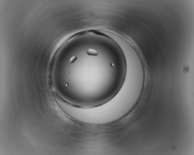 X0000112030956200908031433