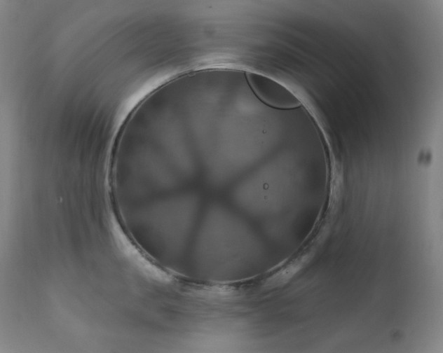 X0000112030957200908031433