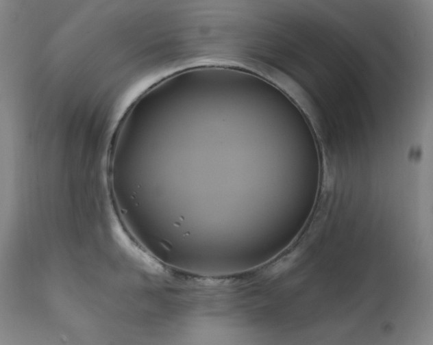 X0000112030958200908031433