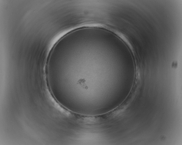 X0000112030959200908031433