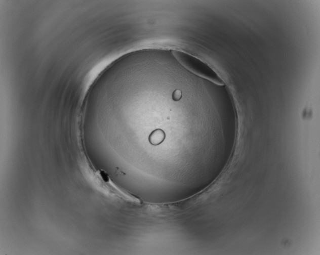 X0000112030960200908031433