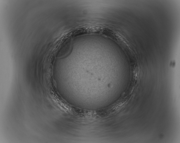 X0000112030961200908031432