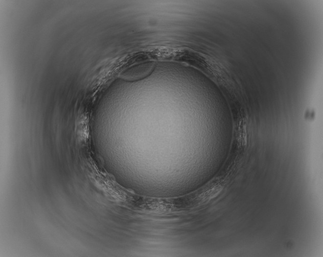 X0000112030962200908031432
