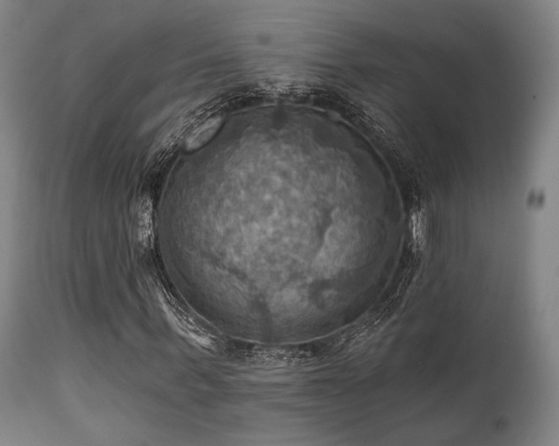 X0000112030963200908031432