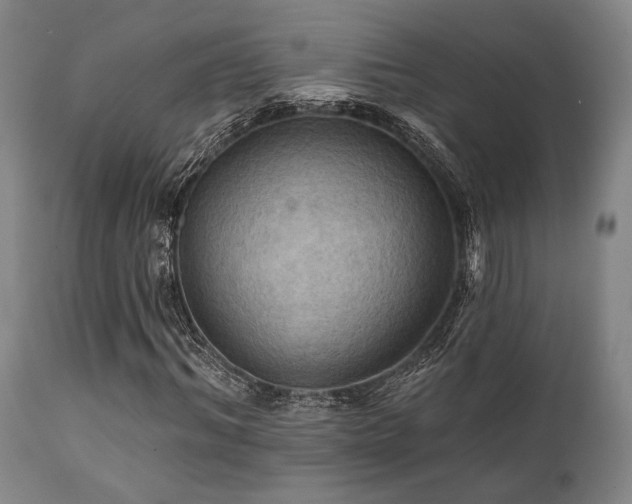 X0000112030964200908031432