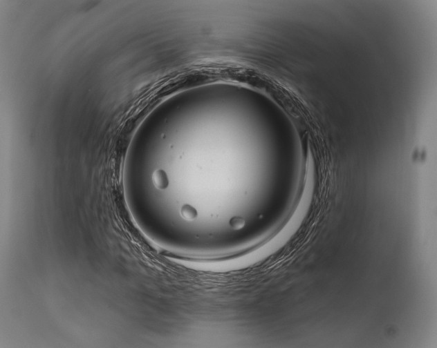 X0000112030965200908031432