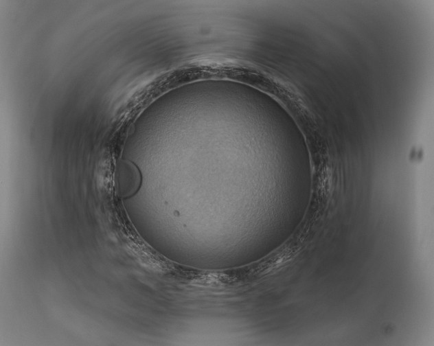 X0000112030966200908031432