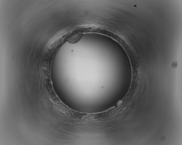 X0000112030967200908031432