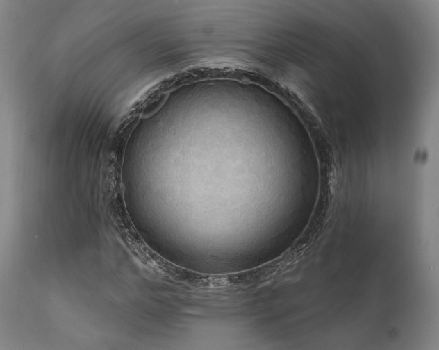 X0000112030968200908031432