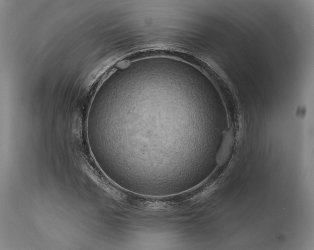 X0000112030969200908031432