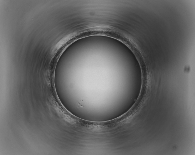 X0000112030970200908031432
