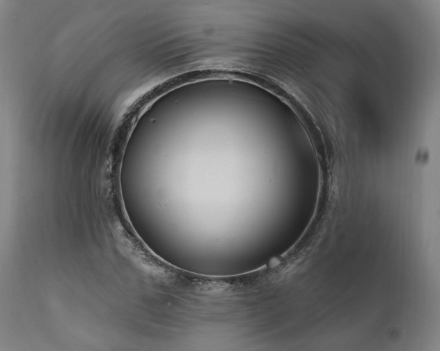X0000112030971200908031432