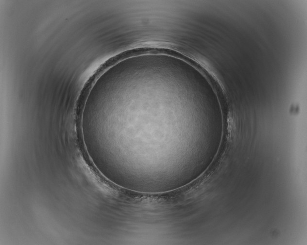 X0000112030972200908031432