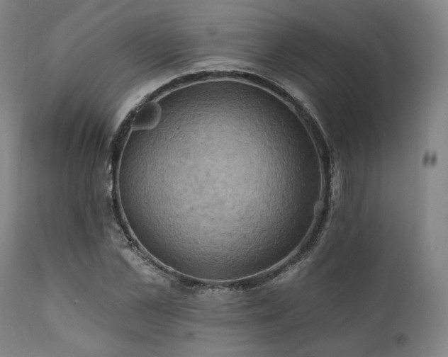 X0000112030973200908031432