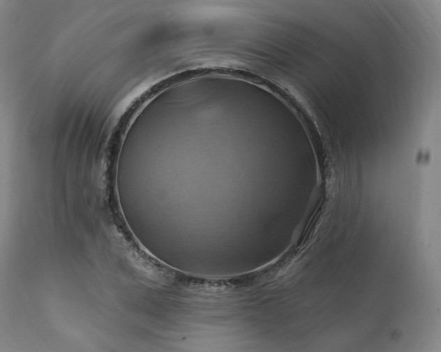 X0000112030975200908031432