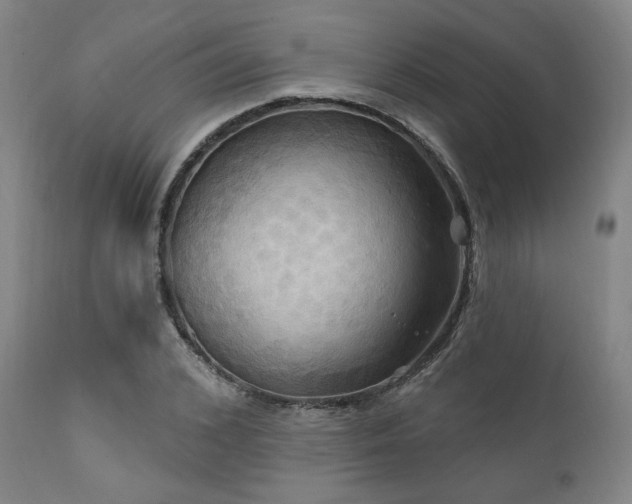 X0000112030976200908031432