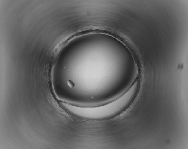 X0000112030977200908031432