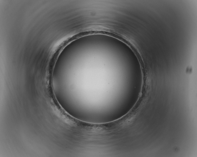 X0000112030979200908031432