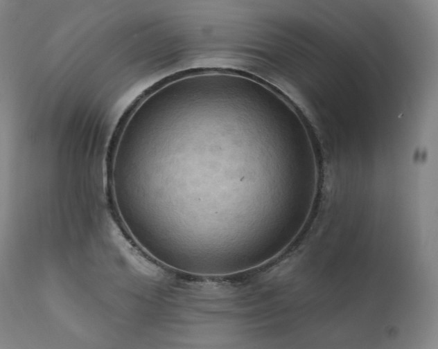 X0000112030980200908031432