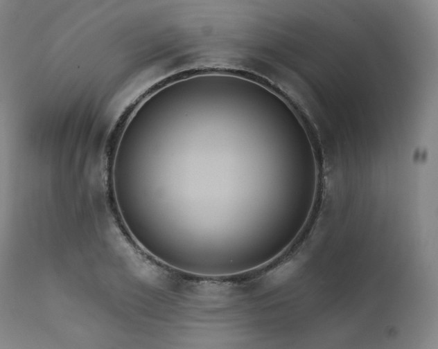 X0000112030981200908031432