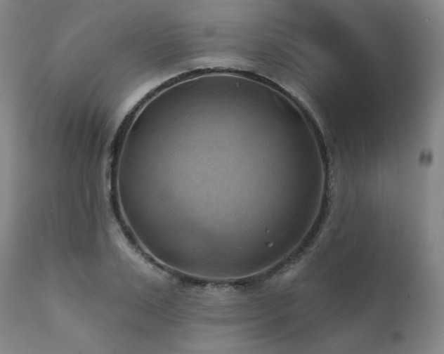 X0000112030983200908031432