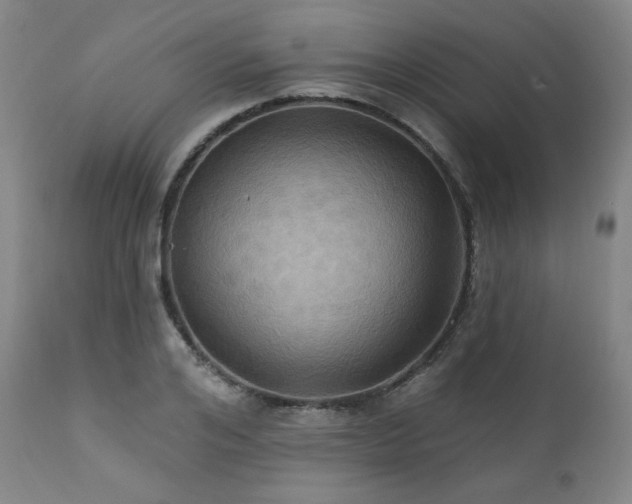 X0000112030984200908031432