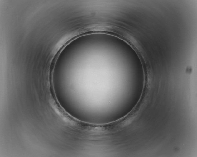 X0000112030986200908031432