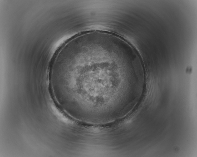 X0000112030987200908031432