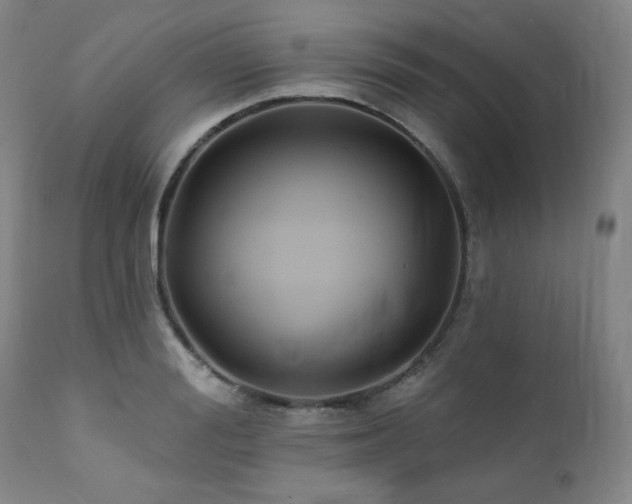 X0000112030988200908031432