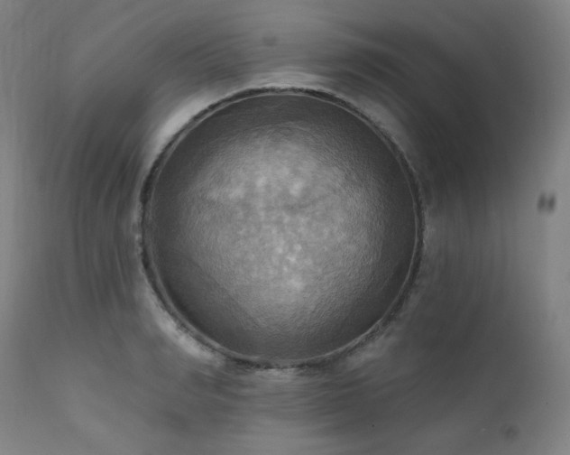 X0000112030990200908031432
