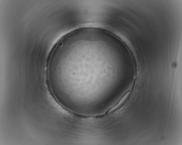 X0000112030992200908031432