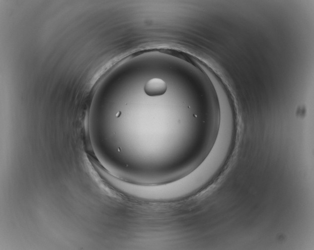 X0000112030993200908031432