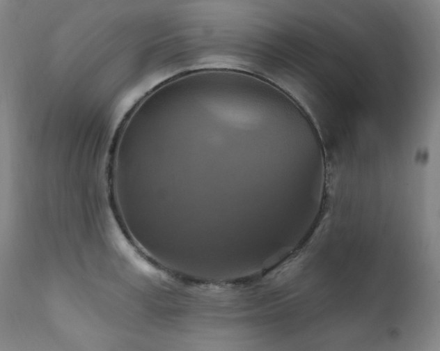 X0000112030995200908031432