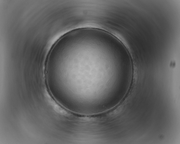 X0000112030996200908031432