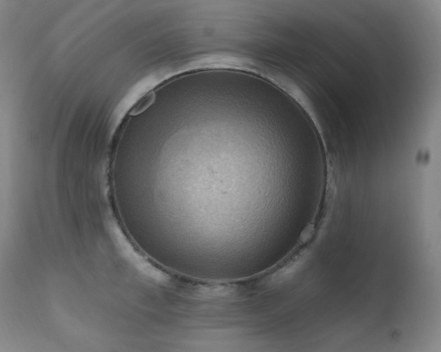 X0000112030997200908031432