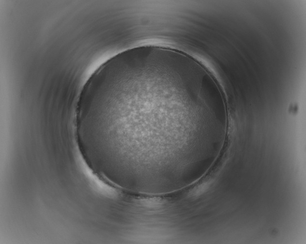 X0000112030999200908031432