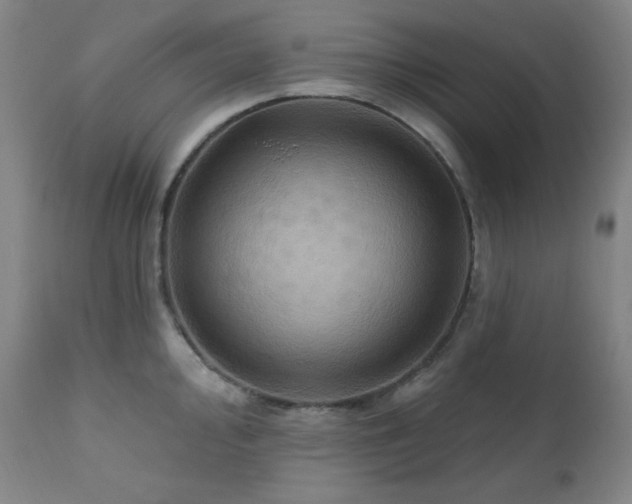X0000112031000200908031432