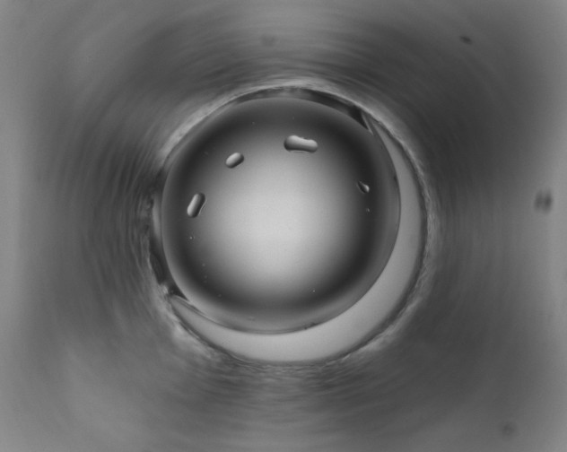 X0000112031001200908031432