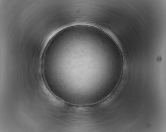 X0000112031004200908031432