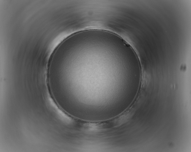 X0000112031005200908031432