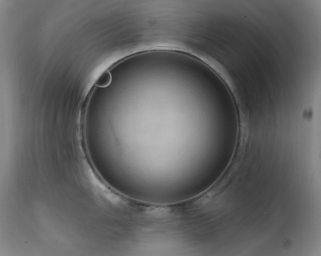 X0000112031006200908031432