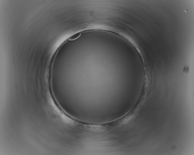 X0000112031007200908031432