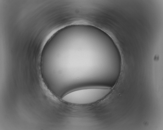 X0000112031008200908031432