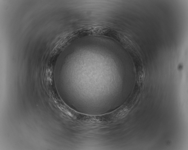 X0000112031010200908031430