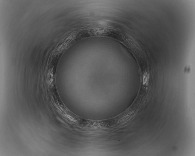 X0000112031011200908031430