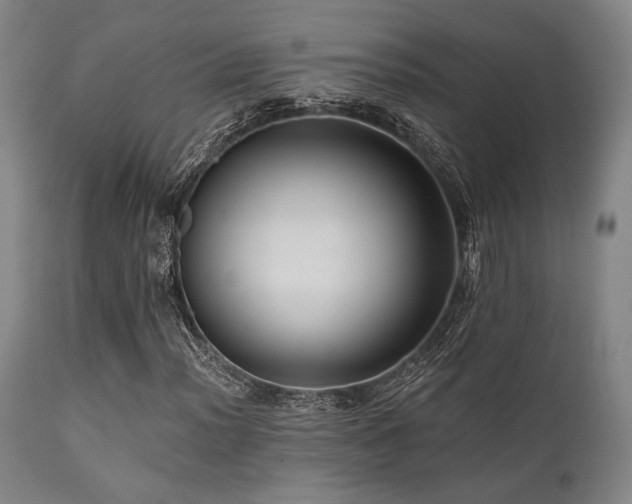 X0000112031012200908031430