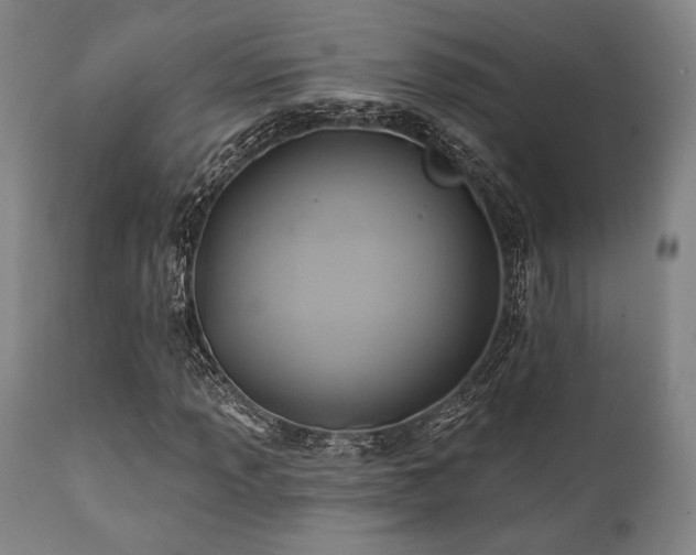 X0000112031013200908031430