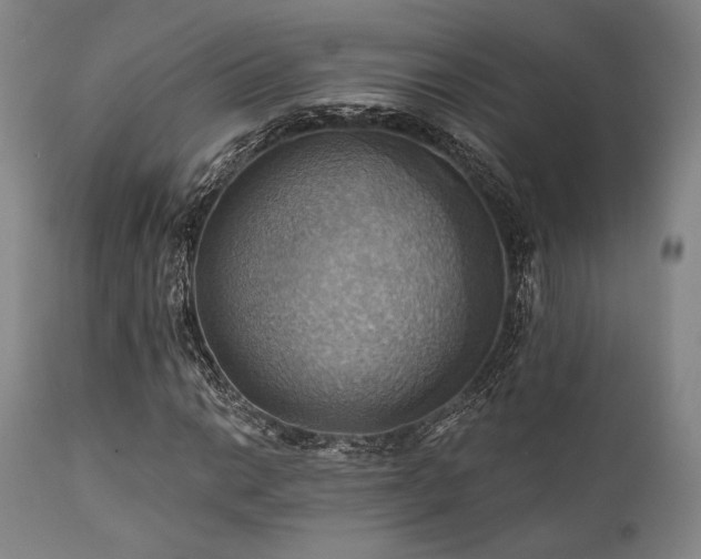 X0000112031014200908031430