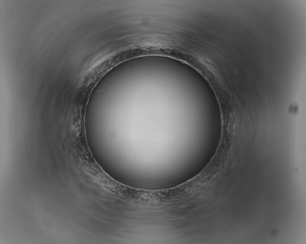 X0000112031015200908031431
