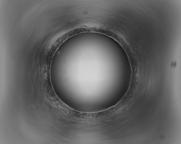 X0000112031016200908031431
